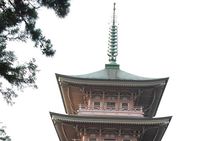  Snow Monkey Park & Zenkoji Temple Nagano Pvt. Full Day Tour.