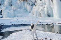 Eobi Ice Wall & Nami Island & Morning Calm Light Festival