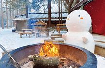 Eobi Ice Wall & Nami Island & Morning Calm Light Festival