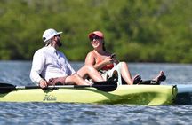 Kayak Tour Marco Island and Naples