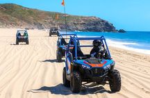 Beach & Desert Mini Razor Tour in Cabo