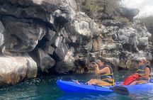 Kayaking Experience in Franklin Bay