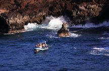 All-Inclusive 5.5 hr La Perouse Bay & Molokini Sea Cave Boat Tour