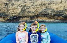 The Best 2 Hour Molokini Express Snorkeling