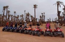 3 Hours Quad Excursion to the palm grove and Jbilat Desert