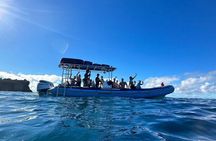 The Best 2 Hour Molokini Express Snorkeling