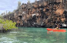Kayaking Experience in Franklin Bay