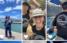 The Best 10 am 1.5 Hour Whale Watching Tour