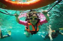 Snorkeling Guided Activity in Puerto Morelos Mexico