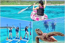 Okinawa Miyako beach SUP or Canoe and sea turtle Snorkeling