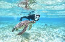 Okinawa Miyako Beach SUP or Canoe and sea turtle Snorkeling