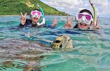 [Miyako Island/Half Day] Sea Turtle Snorkeling