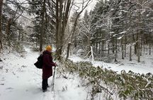 Snowshoeing and Onsen Adventures in a Winter Wonderland -Sapporo.