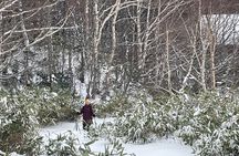 Full Day Snowshoeing Adventures with Onsen.