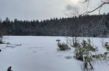 Full Day Snowshoeing Adventures with Onsen.