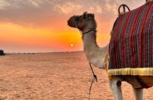 Morning Desert Safari in Dubai