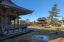 From Kanazawa: Shirakawa-go, Gokayama and Wood Carving Village