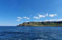 Five Star Giant's Causeway Luxury Private Tour from Belfast 