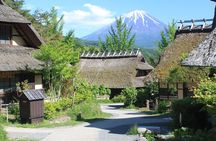 Tokyo: Mt.Fuji & Lake Kawaguchiko 1-Day Bus Tour w/Optional Lunch
