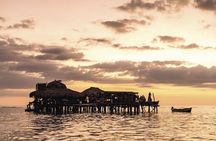 Private Tour from Negril to YS Falls and Pelican Bar 
