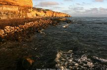 Discover San Diego's Beaches: Private Driving Tour