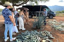 Private Artisanal Tequila Tour