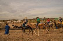 Palmeraie Quad Bikinig, and Camel Riding tour.