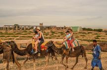 Agafay desert - Quad, camel, and dinner show