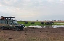 6 Days Serengeti Budget Safaris 