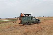 6 Days Serengeti Budget Safaris 