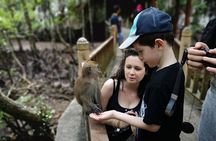 Sharing Half Day Mangrove Boat Tour With Lunch in Langkawi