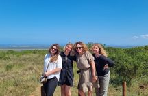 Half-Day Addo Elephant National Park 
