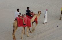 Doha-Night Desert Safari with Sand Board and Camel Ride