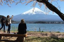 Mt Fuji Private Sightseeing Day Trip With English Speaking Driver