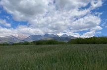 Horseback riding and barbecue in a private ranch - La Carrera, Mendoza