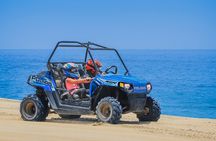 Beach & Desert Mini Razor Tour in Cabo