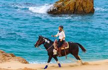 Horseback Riding Beach and Desert in Cabo by Cactus Tours Park