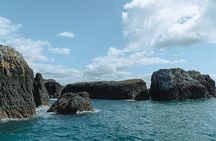 The Original Full day Bay of Islands Cruise with Dolphins 