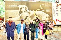 Tokyo Full Course Tour: Explore 15 Must-See Sights & Hidden Gems