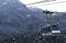 Mt. Seorak+Nami Island+Garden of Morning Calm Day Trip from Seoul