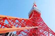 Tokyo 1-Day Bus Tour, hotel pick-up and drop-off, Japan Gray Line