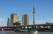 Tokyo 1-Day Bus Tour, hotel pick-up and drop-off, Japan Gray Line
