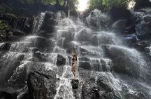 All Inclusive Private Tour: Ubud Hidden Gems Waterfalls