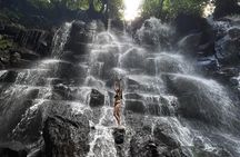Ubud Rice Terrace, water Temple and Waterfalls Private tour 
