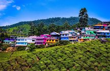 Green Magic Day Tour to Munnar