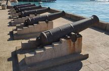Private Half Day Tour To Prison Island and Stone Town By Night