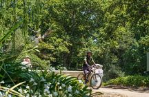 Franschhoek Half Day Winelands Mountain Bike Tour