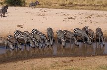 3 Day Safari Tarangire Lake Manyara and Ngorongoro Crater Tour
