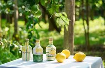 Sorrento Lemon Grove Experience with Local Product Tasting