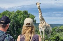 Full-Day Addo Elephant Park & Giraffe Walk 